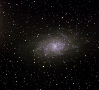 M33